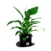 comprar-centro-de-mesa-sombrero-de-copa-decorado-negro-01