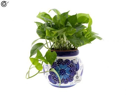 comprar-maceta-pared-olla-azul-modelo-D15-01
