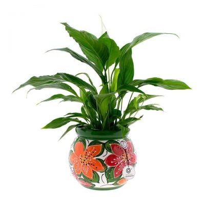 comprar-maceta-suelo-olla-verde-modelo-D17-01