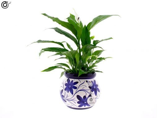 comprar-maceta-suelo-olla-azul-modelo-D20-01