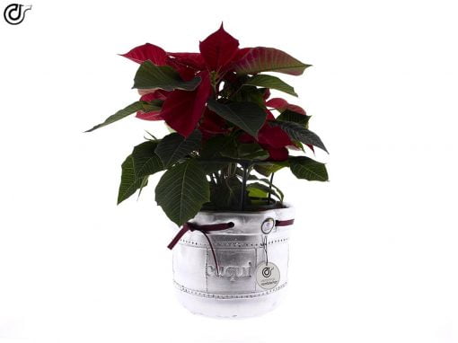 compar-centro-de-mesa-navidad-decorado-plata-lazo-incluido-01
