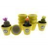 comprar-macetas-para-cactus-macetas-decoradas-modelo-d83-01
