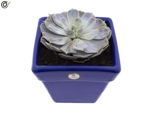 comprar-maceta-exterior-maceta-de-barro-lisa-azul-oscuro-modelo-d104-02